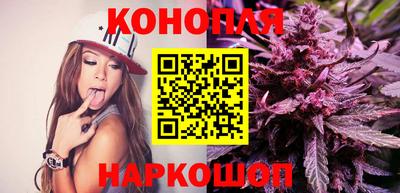 гидра Лесосибирск
