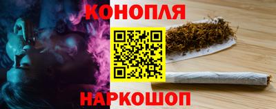 гидра Лесосибирск